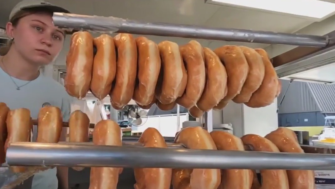 Amish donuts and pretzels at Florida State Fair